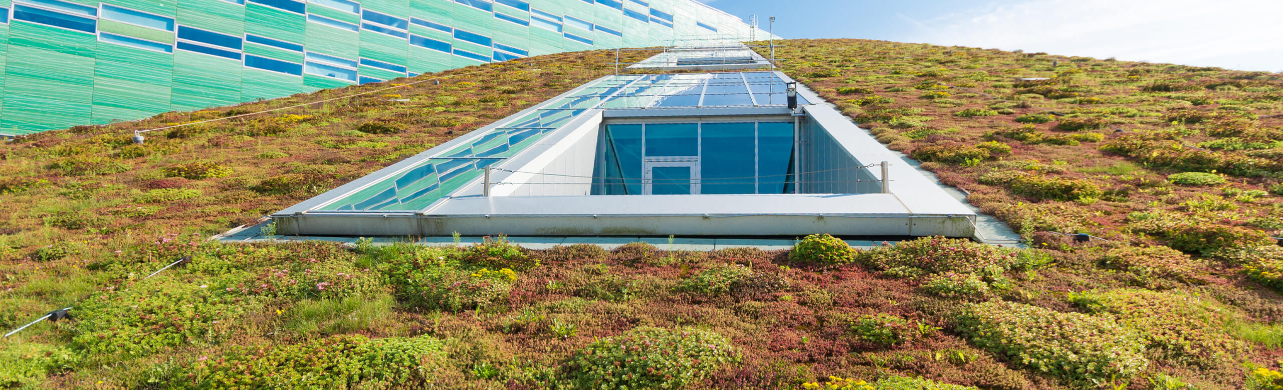 REGUPOL resist geo A green roof with lush vegetation throughout the roof. REGUPOL resist geo provides a waterproof REGUPOL resist geo is water permeable, with a laminated geotextile top surface.